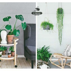 Tecniche Decorative